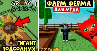 IDEALNAYA-FERMA-dlya-FARMA-MYODA-v-igre-Vyrasti-sad-robloks-Grow-a-Garden-roblox-Vybil-PODSOLNUH