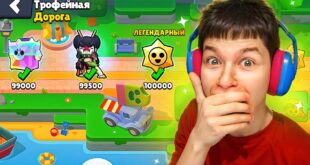 SHOK-ZABRAL-VSYU-TROFEJNUYU-DOROGU-V-BRAVL-STARS
