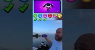 Vybil-vse-redkosti-Brawl-Stars-shorts