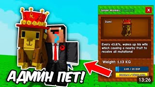 POLUCHIL-ADMINSKOGO-PETA-JANDEL-MONKEY-v-VYRASTI-SAD-Grow-a-Garden