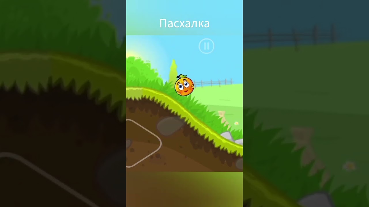 Pashalka-rabotaet-shorts-redball