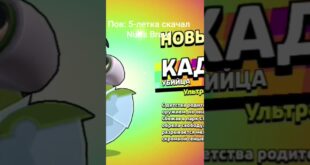 Pov5-letka-skachal-Null39s-Brawl-2025-kucheryashka-leto-mem