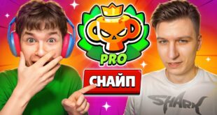 ZASNAJPIL-VITAL-SHARKA-POKA-ON-PUSHIL-PRO-RANG-V-BRAVL-STARS