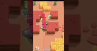 rebrawl-shorts-zaletipzh