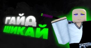 GAJD-KAK-POLUCHIT-SHIKAJ-V-IGRE-TYPESOUL-TYPESOUL-Roblox