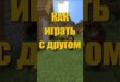 Kak-igrat-v-dvoyom-v-Minecraft-gajd-Minecraft-igra