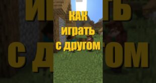 Kak-igrat-v-dvoyom-v-Minecraft-gajd-Minecraft-igra