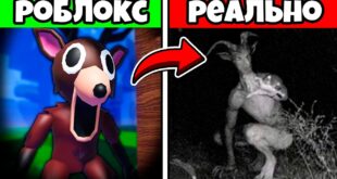 TYOMNAYA-PRAVDA-pro-99-NOCHEJ-V-LESU-Robloks-99-NIGHTS-in-the-FOREST